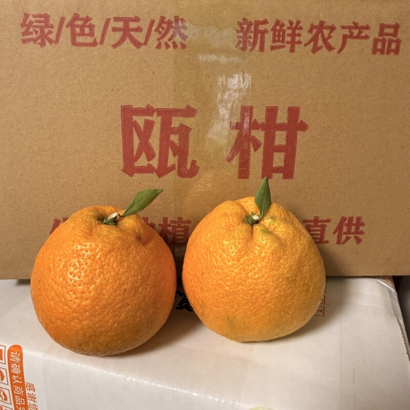顺丰包邮新鲜瓯柑苦橘清甜微苦