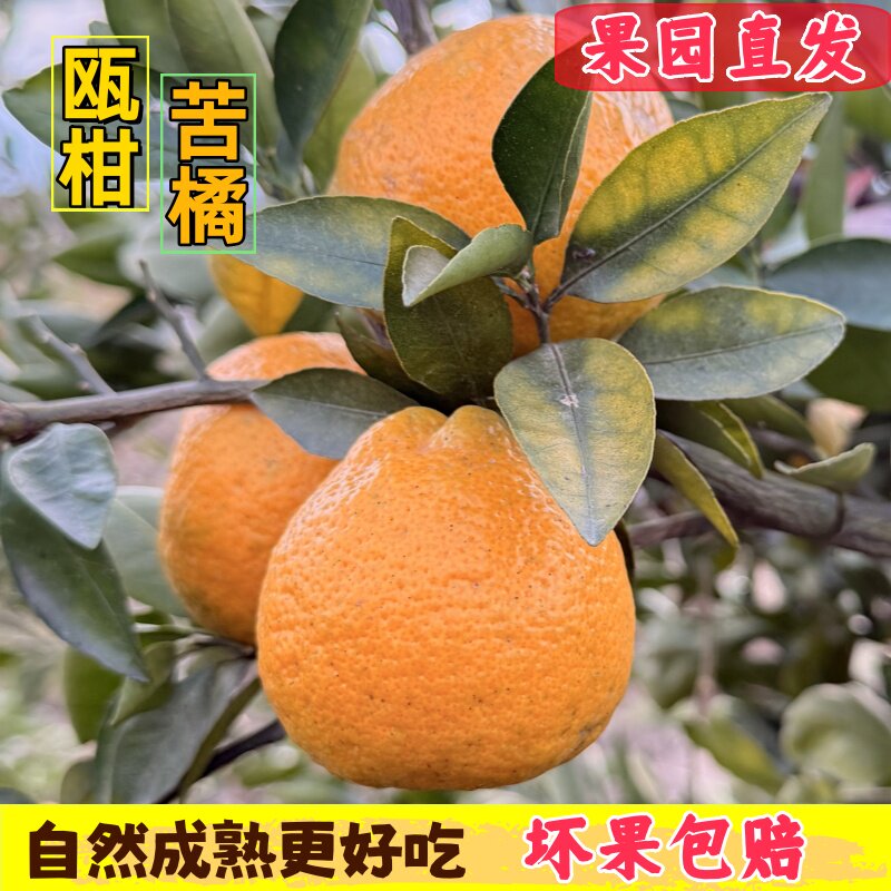 顺丰包邮新鲜瓯柑清甜微苦