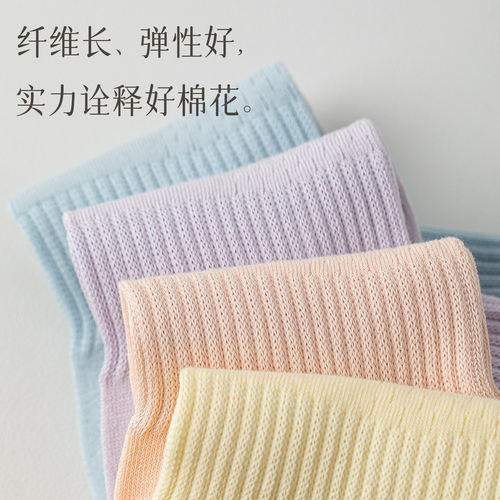 迪卡象抑菌女士全棉山茶花香彩色