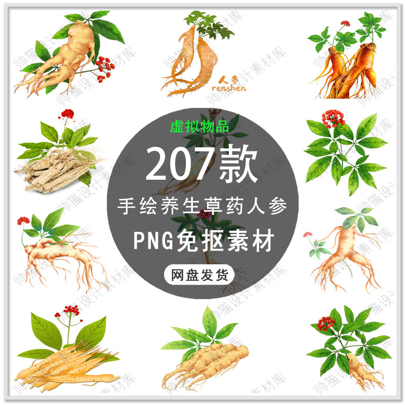 手绘中药草药人参西洋参长白山人参药材养生人参背景png免扣素材