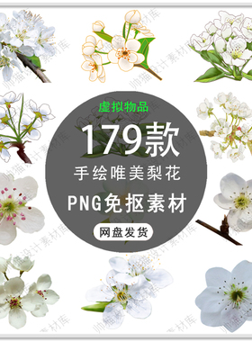 手绘梨花花朵花卉浪漫白色花朵梨花装饰花瓣飘落梨花PNG免扣素材