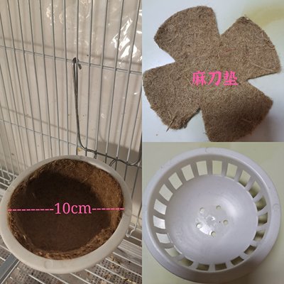 鸟窝塑料包邮玉鸟内挂羊毛垫子