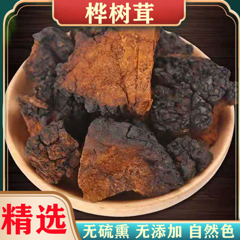 桦树茸俄罗斯进口桦褐孔菌20年精品俄罗斯小黑果纯天然白桦树茸