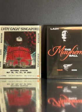 Ladygaga巡演纪念冰箱贴 gaga冰箱贴