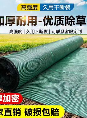 防草布除草布耐用加厚庭院果园艺地布地膜厂家直销新型生态黑绿色