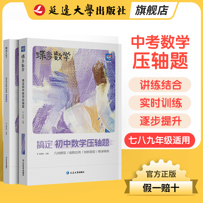2025中考初中数学压轴题专项训练