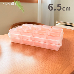 6.5口粉色半透明多肉塑料花盆 托架托盘加厚组合育苗叶插麦秆扦插