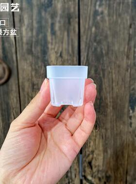 特厚4口径迷你多肉塑料矮方花盆透明阳台控养省土育苗 可配托架盘