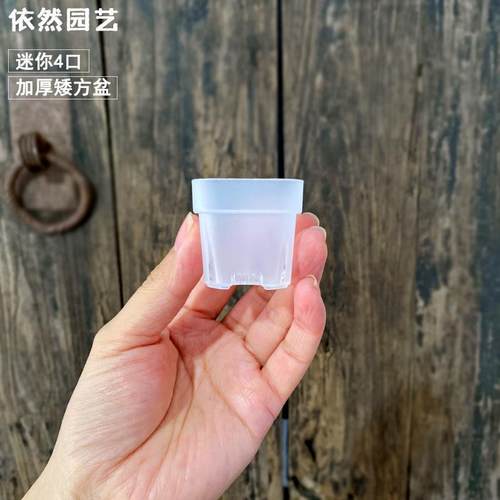 特厚4口径迷你多肉塑料矮方花盆