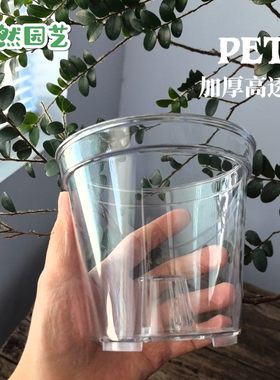 PET高透加厚圆口蝴蝶兰花盆