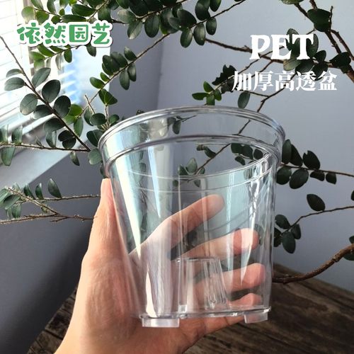 PET高透加厚圆口蝴蝶兰花盆