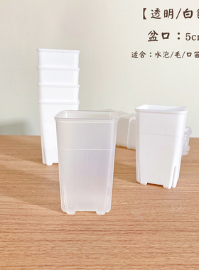 【5080款5口方盆】 拇指盆生石花盆方口加高加厚多肉迷你万象控根