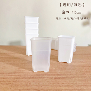 拇指盆生石花盆方口加高加厚多肉迷你万象控根 5口方盆 5080款