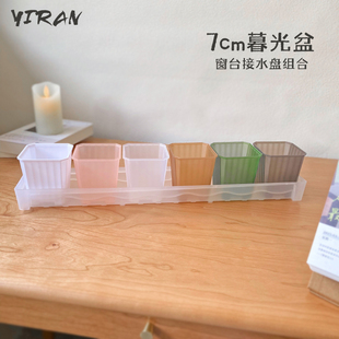 依然园艺窗台长条接水浸盆盘 7cm半透多肉植物彩方塑料盆栽花组合