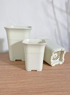 方形万象盆6格托架白透 塑料加厚盆磨砂十二卷酢浆草多肉盆仙人球