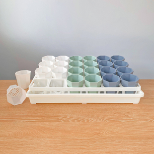 新品加厚八角盆多肉塑料花盆营养钵浸水育苗盆扦插叶插整理播种盘