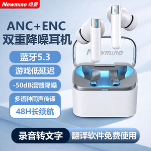 纽曼无线蓝牙耳机主动真降噪通话入耳式ai智能实时翻译录音转文字