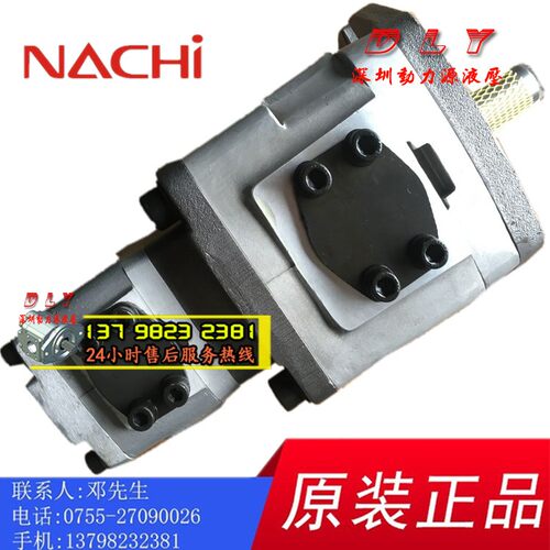 NACHI油泵IPH-66B/66A-80/100/125-80/100/125-L/T/LT/TT/E/EE-11