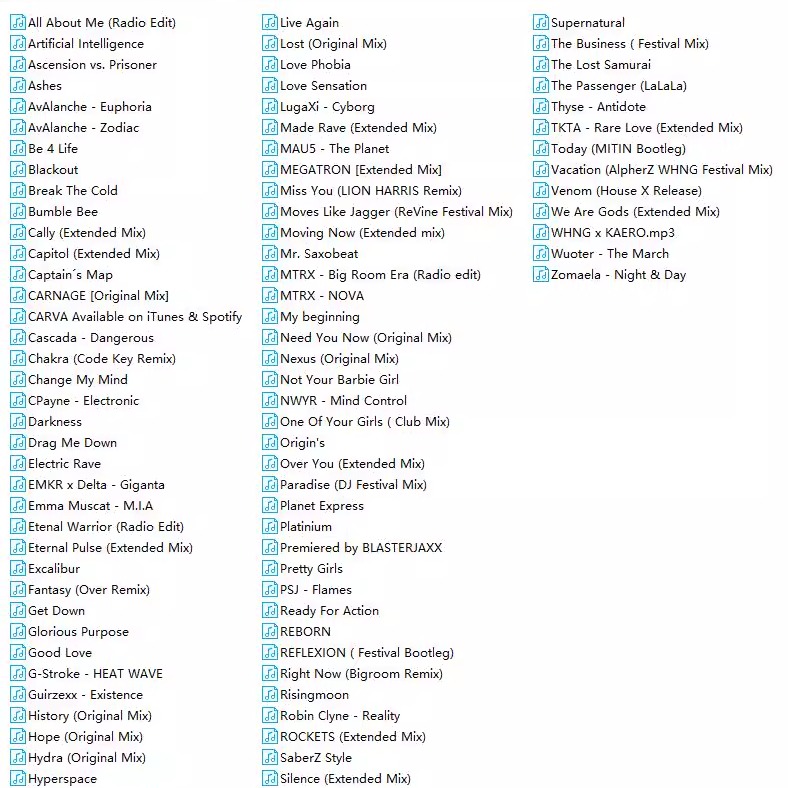2024 12月整理BIG ROOM酒吧派对场舞曲DJ套曲101首