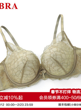 安莉芳旗下E-BRA蕾丝性感立体掌托杯内衣女士小胸聚拢文胸KB00278