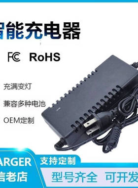 锂电池组25.2V2A3A4A5A智能充电器6串筋膜枪户外电源24V25V26V