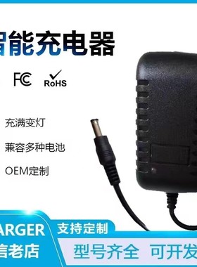 4.2V8.4V5V9V12.6V16.8v21V1A2A锂电池头灯智能锁手电钻充电器DC