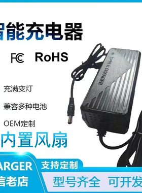 适用NOAHK 诺雅电动车 飞毛腿磁动车 电动自行车锂电瓶充电器17V