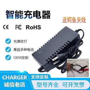 12V5Ah6aH7AH12V10ah20AH30AH4.5AH50AH60AH铅酸电池电动车充电器