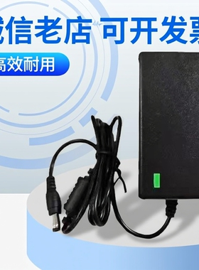 8.4V16.8V25.2V12.6V29.4V21V3A2A锂电池充电器手电钻充电线变灯