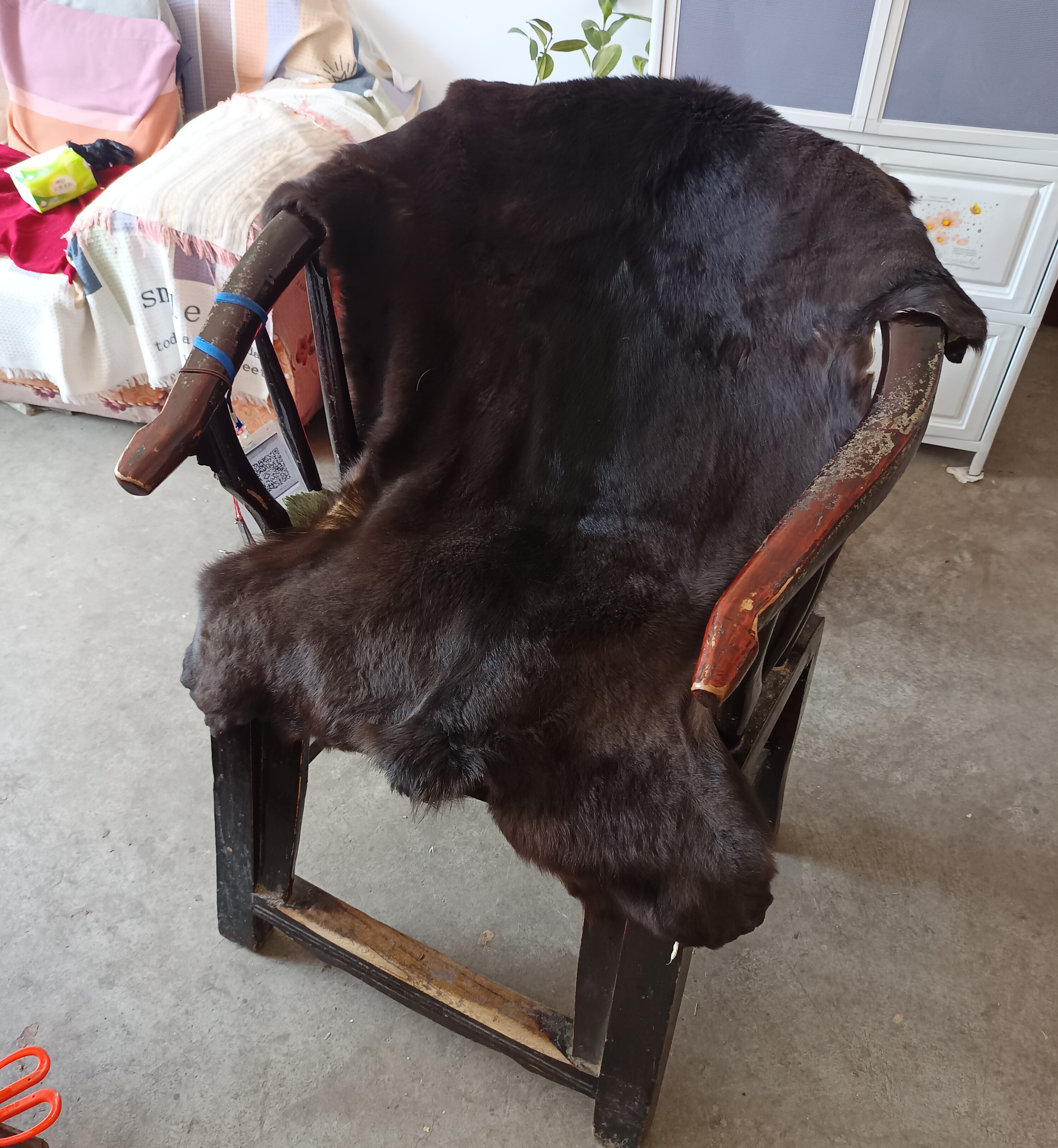 整张狗皮仿真虎皮豹狼皮动物皮地毯真毛一体沙发汽车垫防潮犬椅垫