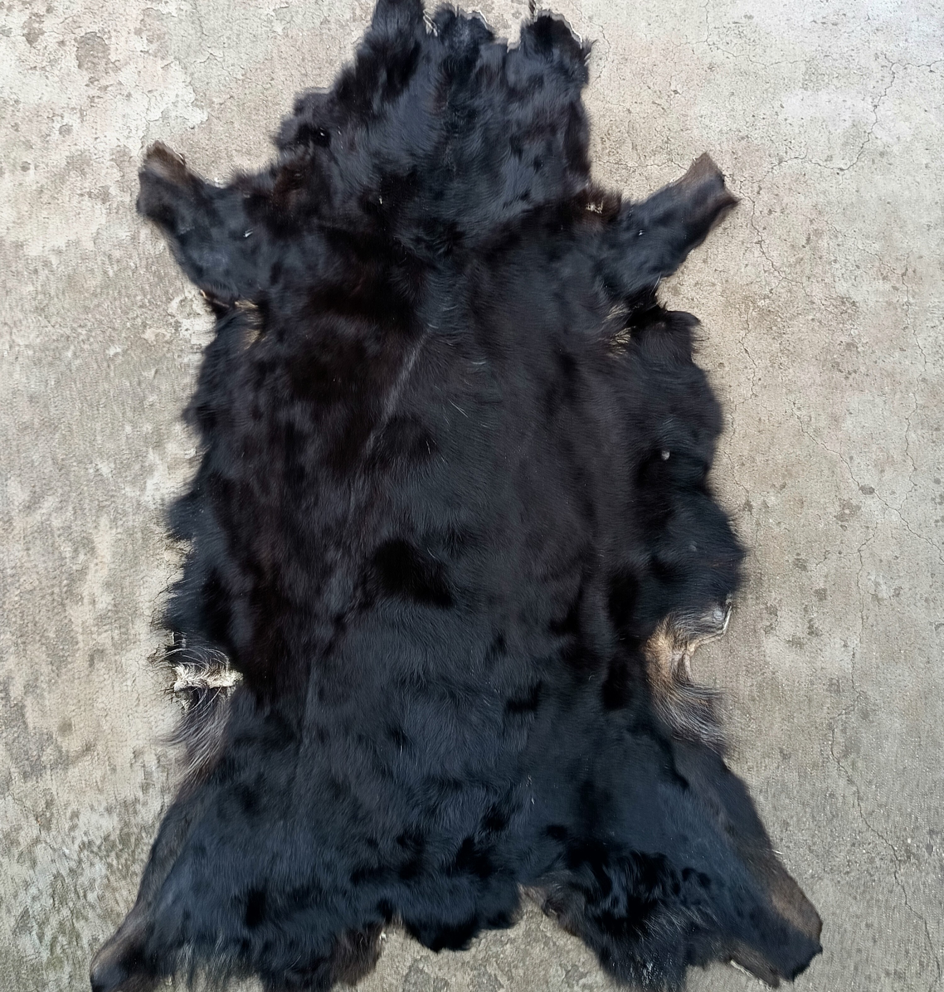 整张狗皮仿真虎皮豹狼皮动物皮地毯真毛一体沙发汽车垫防潮犬椅垫