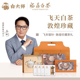 白大师敦煌联名款福鼎白茶2019年白毫银针送茶具礼盒装茶礼120g