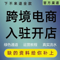 跨境电商流水速卖通开店Lazada代入驻Coupang注册OZON美客多