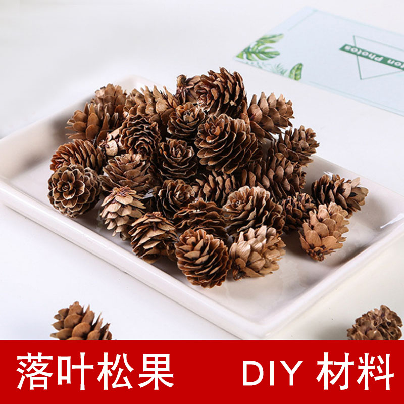 落叶松果装饰手工制作干花拍摄道具DIY材料家居装饰幼儿园儿童