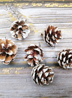 4CM5CM白色松果6个装圣诞树配件节日装饰用品场景布置沾白松塔