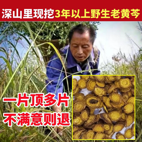 黄芩深山纯野生黄芩纯天然中药材正品粉根片黄琴枯芩茶龙胆草栀子