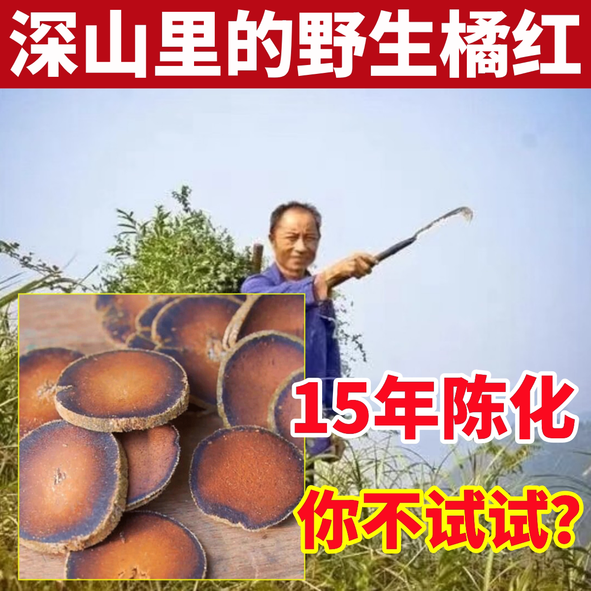 化橘红深山纯野生化橘红果片纯天然中药材正宗满天星化州橘红润喉