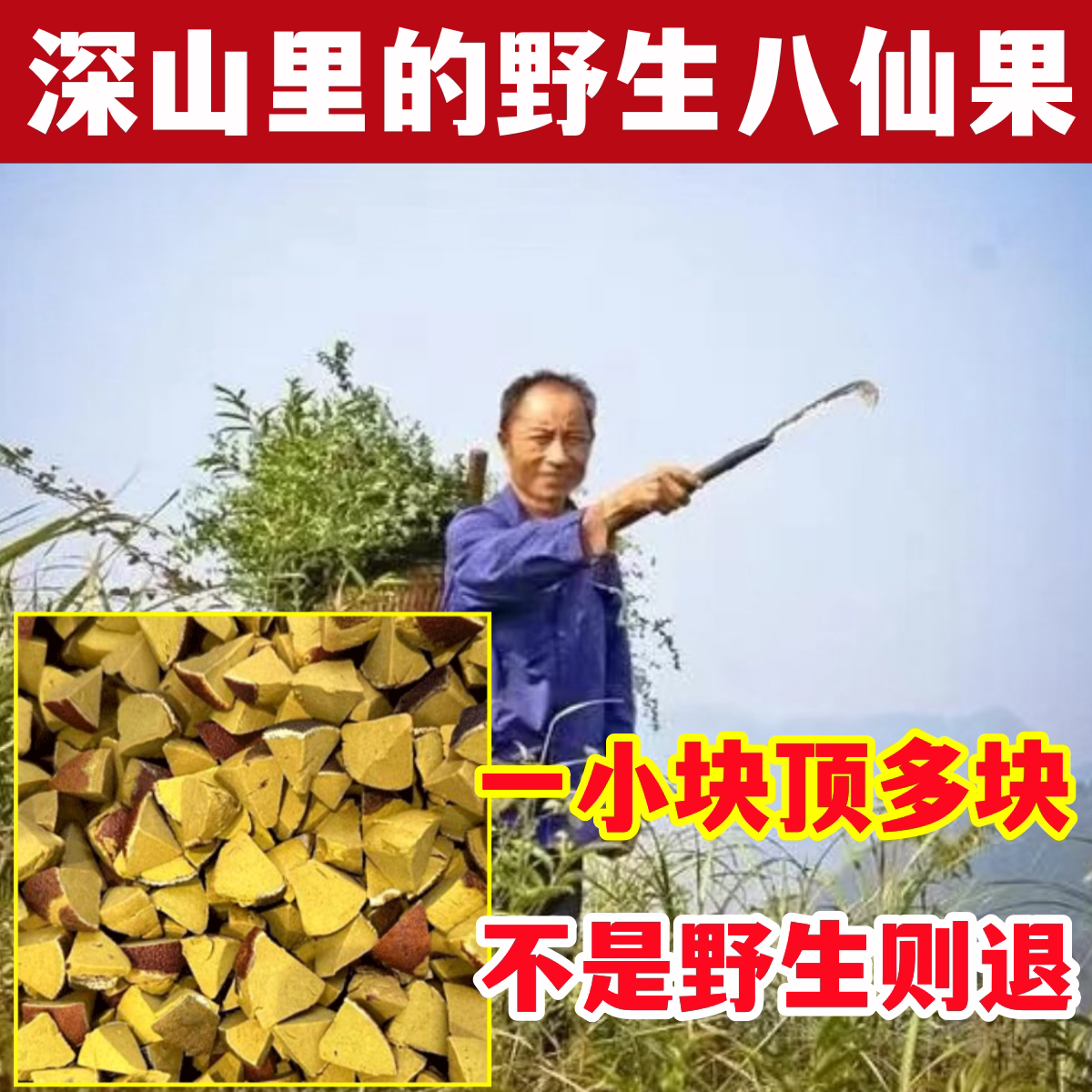 纯天然八仙果橘红野生中药材原料