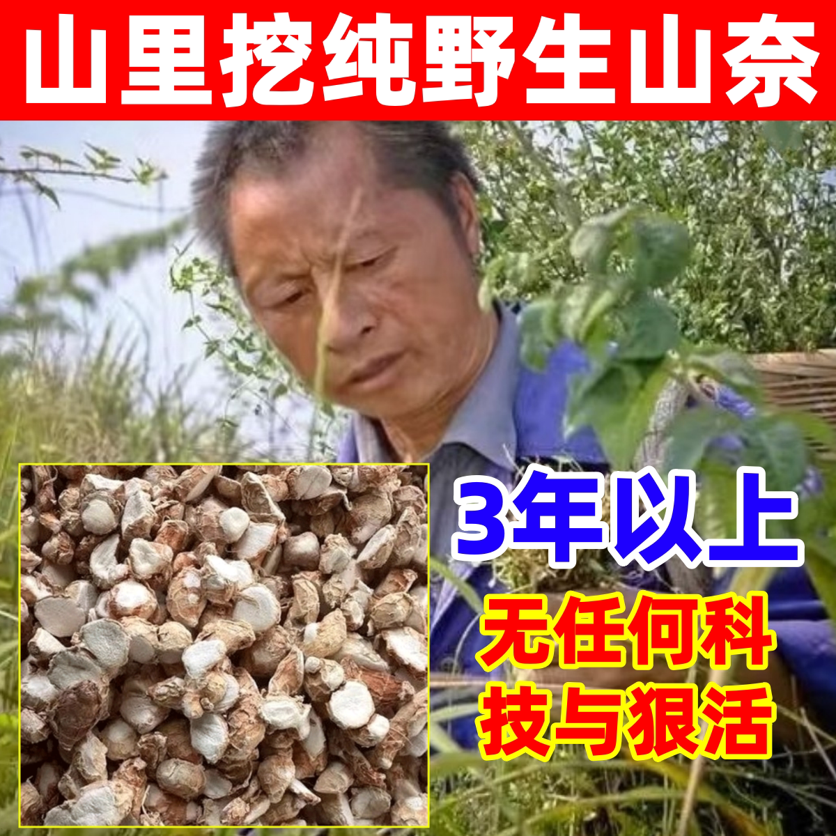 山奈深山纯野生山奈纯天然中药材辛香料大全沙姜大料八角桂皮三奈