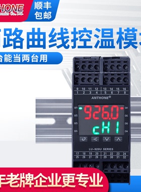 两路程序段温控模块可以控制两路温度曲线控制RS485温度控制器