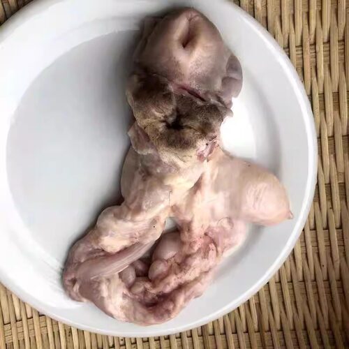 羊欢喜羊肛门子宫羊下水羊阴道