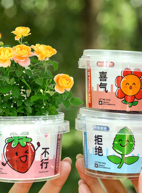 儿童植物盆栽礼物创意种