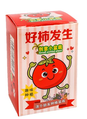 儿童种植盆栽幼儿园礼物
