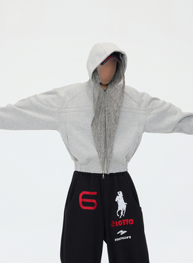 ASTT 25FW“猛犸”600克分割解构高级灰连帽开衫重磅机车短款卫衣