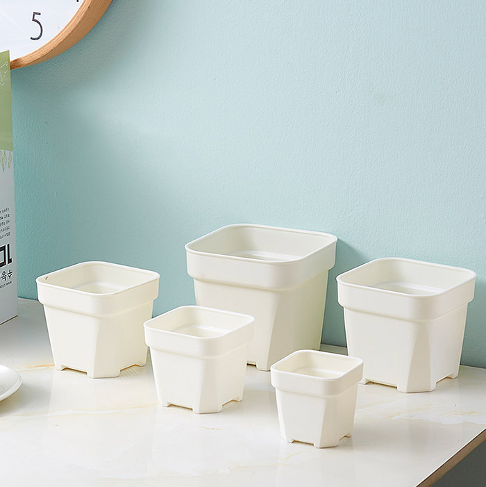 多肉花盆加厚塑料大号圆角磨砂小黑方白色叶插盆肉肉植物盆栽方盆