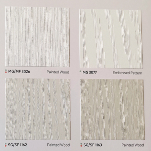 MG3077 韩国进口装 现货SG1162 SOIF三星2025版 SG1163 饰贴膜