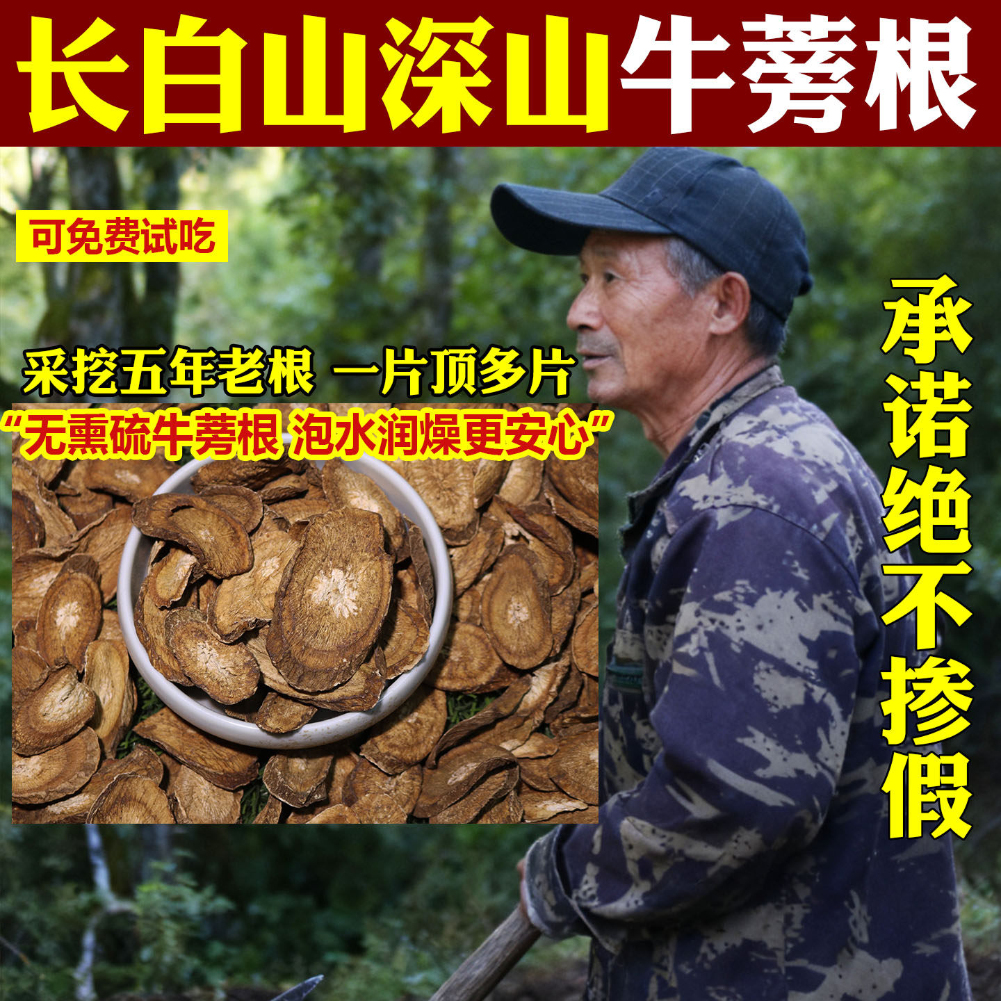 正宗东北野生牛蒡根中药材当年新货无硫熏黄金牛蒡根片泡水煮水