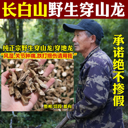东北野生正品穿山龙中药材可泡酒