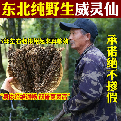 东北野生威灵仙中药材泡酒煮水