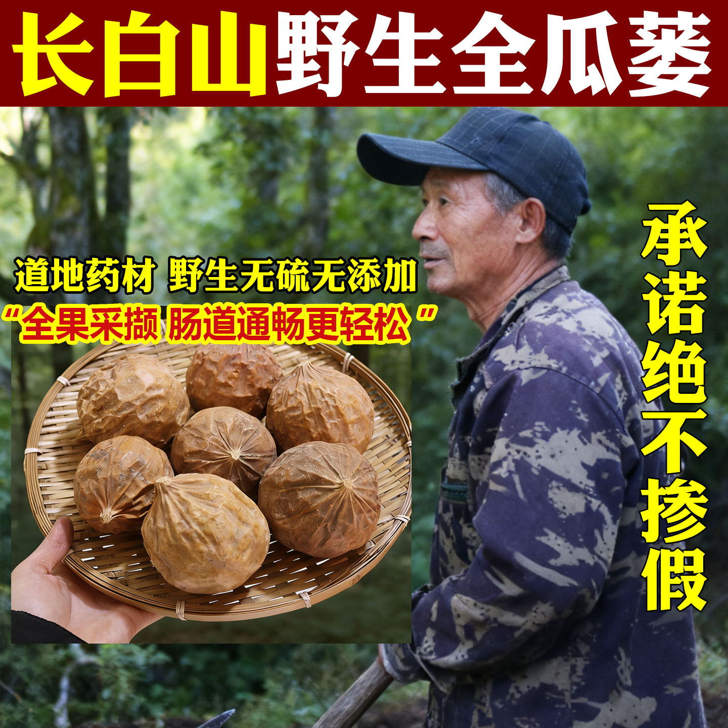 瓜蒌中药材纯野生全瓜蒌特级干货个头饱满无硫熏正品新货500g包邮